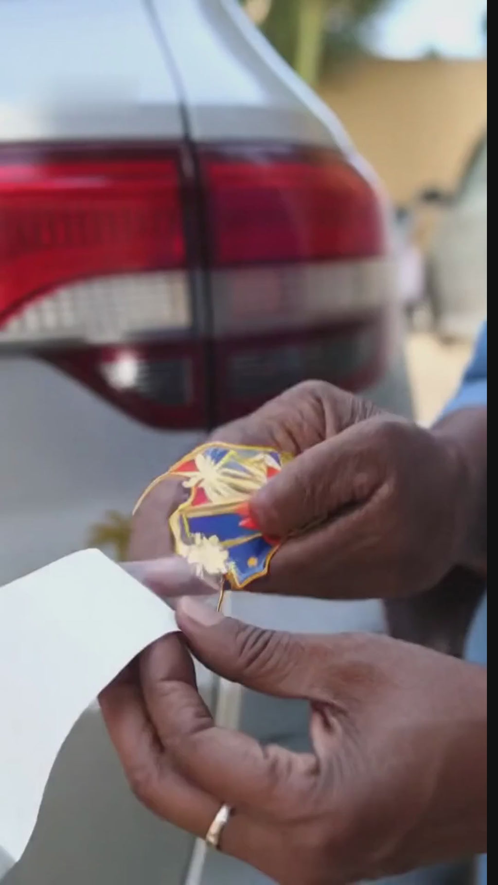 2pcs Emblem palmis haiti car stickers